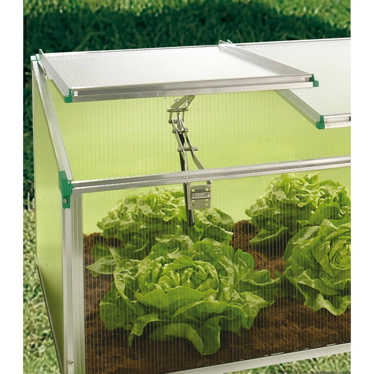 Juwel 1500 Biostar Premium-Pflanzkasten Mit Fensterautomat 3 Juwel 1500 Biostar Premium-Pflanzkasten Mit Fensterautomat – Bild 3