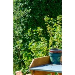 Dobar 29053 Zusammenklappbarer Pflanztisch Aus Kiefernholz, 85 X 44 X 89 Cm -Entspannender Garten 1622612000 prod 004