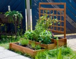 Dobar 58185FSC 3-Etagen-Hochbeet, 110x88x115 Cm, Inkl. Rankgitter 11 Dobar 58185FSC 3-Etagen-Hochbeet, 110x88x115 Cm, Inkl. Rankgitter -Entspannender Garten 1816951000 prod 006