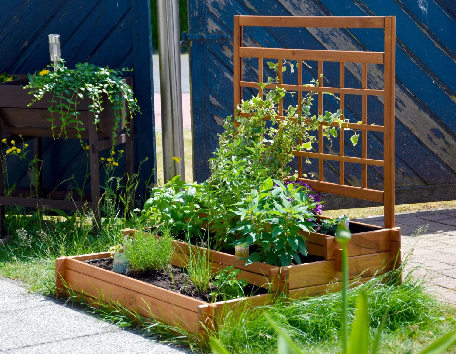 Dobar 58185FSC 3-Etagen-Hochbeet, 110x88x115 Cm, Inkl. Rankgitter 6 Dobar 58185FSC 3-Etagen-Hochbeet, 110x88x115 Cm, Inkl. Rankgitter – Bild 6