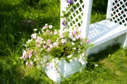 KHW Gartenbank Brüssel -Entspannender Garten 1840283002 prod 005