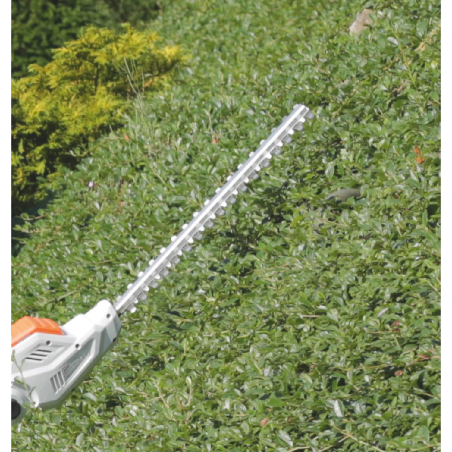 Ikra IATHS 40-43 Solo 40 V Akku-Teleskop-Heckenschere 4 Ikra IATHS 40-43 Solo 40 V Akku-Teleskop-Heckenschere – Bild 4