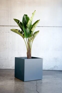 Herstera Garden Stahl Hochbeet Pflanzkübel Cube -versch. Ausführungen -Entspannender Garten 2475006002 prod 004