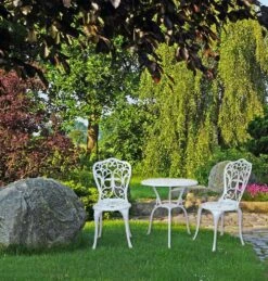 Möbel Direkt Online 2tlg. Stuhlset Versailles -Entspannender Garten 8600243200 086 8747BR S 2 prod 003