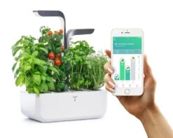 VERITABLE CONNECT Indoor Garten Grau Inkl 4 Packs 6 VERITABLE CONNECT Indoor Garten Grau Inkl 4 Packs -Entspannender Garten 8600267600 12262 prod 003