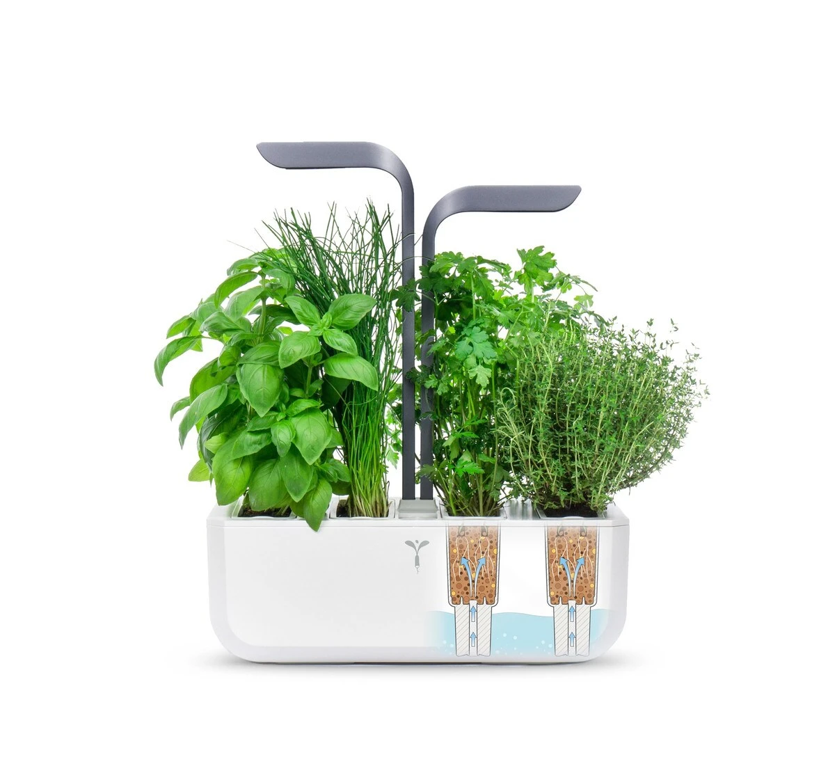 VERITABLE CONNECT Indoor Garten Grau Inkl 4 Packs 4 VERITABLE CONNECT Indoor Garten Grau Inkl 4 Packs – Bild 4