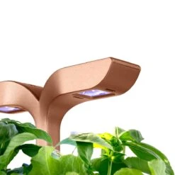 VERITABLE Exky SMART Indoor Garten Kupf. + 2 Packs -Entspannender Garten 8600267600 12267 prod 003