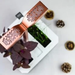 VERITABLE Exky SMART Indoor Garten Kupf. + 2 Packs -Entspannender Garten 8600267600 12267 prod 004