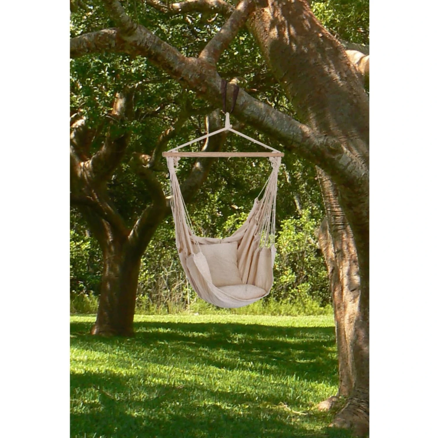 Hängesessel TOBAGO Hängestuhl Hängematte Hängesitz Schaukel 2 Kissen Beige 2 Hängesessel TOBAGO Hängestuhl Hängematte Hängesitz Schaukel 2 Kissen Beige – Bild 2