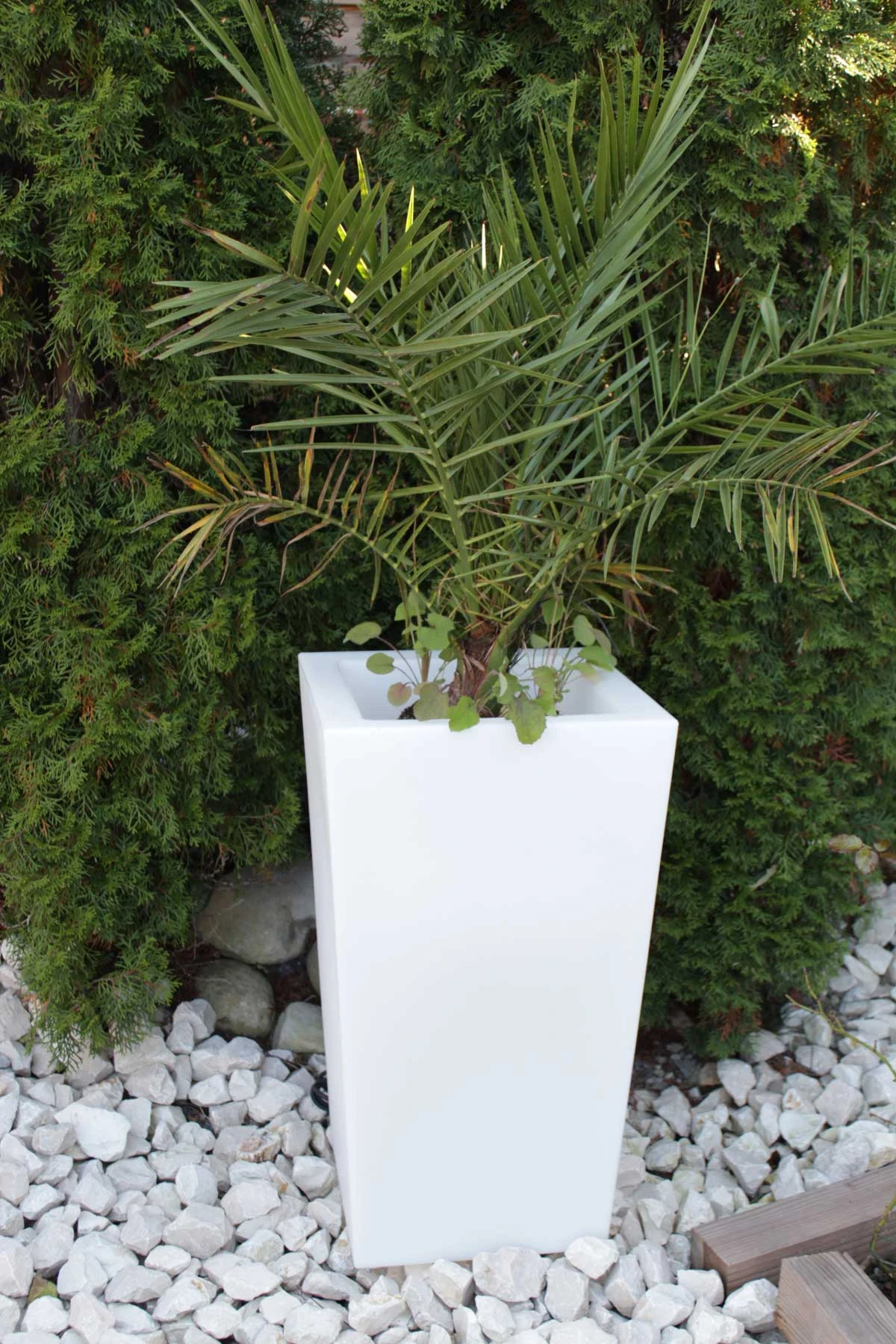 Pflanzkübel Pflanzsäule GlowTub Square H: 70cm Beleuchtet 10617 2 Pflanzkübel Pflanzsäule GlowTub Square H: 70cm Beleuchtet 10617 – Bild 2