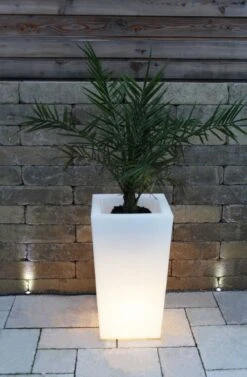 Pflanzkübel Pflanzsäule GlowTub Square H: 70cm Beleuchtet 10617 10 Pflanzkübel Pflanzsäule GlowTub Square H: 70cm Beleuchtet 10617 -Entspannender Garten 8600326800 793 prod 005