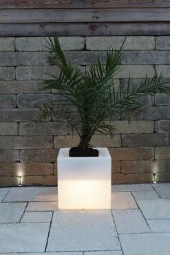 Pflanzkübel GlowTub Quadratic 38x38x38cm Beleuchtet 10620 -Entspannender Garten 8600326800 796 prod 004