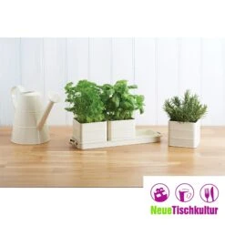 Neuetischkultur Kräutertöpfe Mit Schale Living Nostalgia -Entspannender Garten 8600330400 50005026 prod 003
