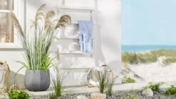 Pflanztopf Nuts Grau -Entspannender Garten 8600342900 9420585 prod 003