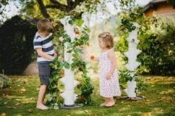 Erdbeerbaum Sissi Strawberry Weiß Klein -Entspannender Garten 8600342900 9425169 prod 005