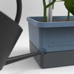 Pflanztopf Charly Chili Blau -Entspannender Garten 8600342900 9425220 prod 003